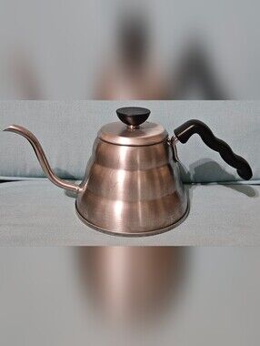 The Hario V60 Buono 1.0L Stainless Steel Pour-over Kettle